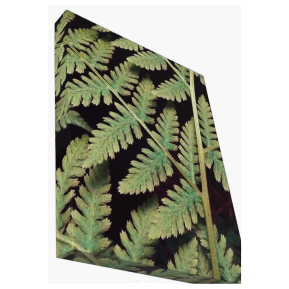 Walk Through Nature Other - Unframed “Changes” Canvas Print